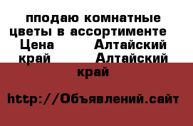 пподаю комнатные цветы в ассортименте › Цена ­ 10 - Алтайский край  »    . Алтайский край